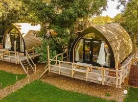 Boomhuis met optioneel wellness - Vakantiepark de Schreiershoek