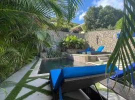 Luxurious 1 bedroom Apt with pool in Simpson Bay