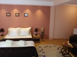 Guest Accommodation Zone, apartment in Niška Banja