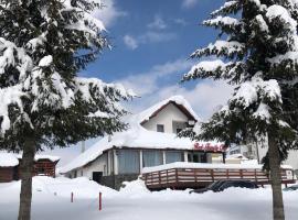 Red Family Apartments, отель в городе Пэлтиниш, рядом находится Arka Park