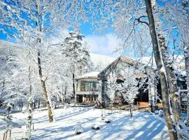 Hotel Sierra Resort Hakuba