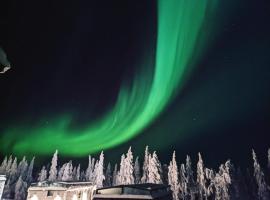 Levi Sky Igloo, villa in Kittilä