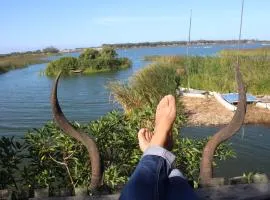 Nature's Rest