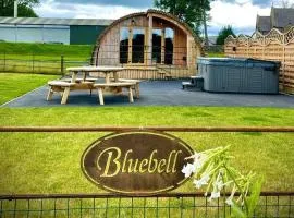 Bluebell