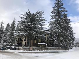 Hotel Pagnani, готель у місті Пескассеролі