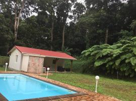 Les Lucioles 1 Beau T2 en forêt tropicale avec accès piscine, hotel in Saint-Joseph