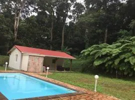 Les Lucioles 1 Beau T2 en forêt tropicale avec accès piscine