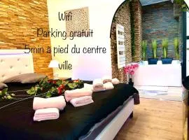 La suite romantique Jacuzzi,parking gratuit,centre