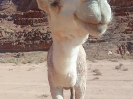 Blue Camel, chalet in Wadi Rum