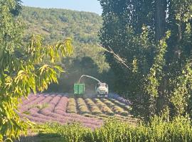 Gîte Le Tramontane Meublé de tourisme 4 étoiles Le Moulin de Prédelles, מלון בReillanne