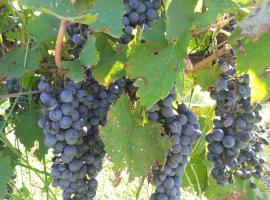 El Canadiense Hospedaje