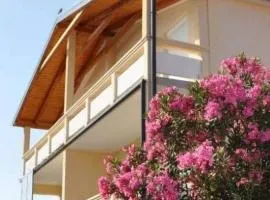 Apartments with parking space Vir - 20183