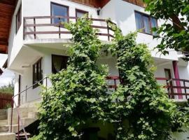 Maison Bramber- a Home for those who seek it., hotel in Predeluţ