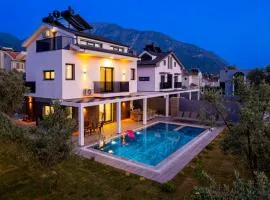 Villa Almilalin 6 bedroom Holiday Villa for Rent in Oludeniz