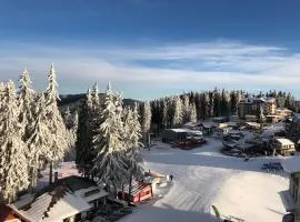 Апартамент в хотел Стената, Пампорово