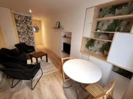 Lerezno - T2 centre tout confort