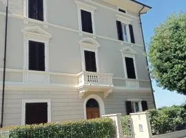 Il Pettirosso