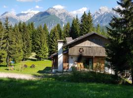 Chalet Dolomiti 7 rooms, отель в городе Danta