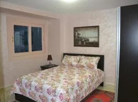 Downtown Apartment