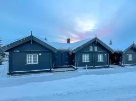 Beautiful Home In Sjusjøen With Wifi