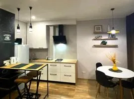 Stylish apartment in the historic center