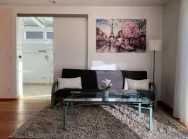 FeWo Luxus Wohnung im eigenen Ferienhaus, 120 qm, Nähe Regensburg mit Balkon, Terrasse & Garten, gute Zuganbindung