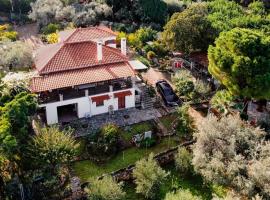 Villa Eirini with sea view, feriebolig i Dhriópi