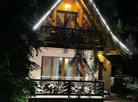 Brvnara Mont