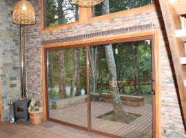 Casa Loft Küme Felen, hotel in Pucón