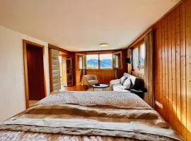 Cosy appartment 10 min from Gstaad with stunning view