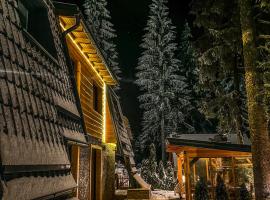 Vila Ba&scaron;ić Vla&scaron;ić Apartman MEDO, хотел, който приема домашни любимци, в Влашич