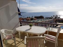 Terraza al Teide, hotel povoľujúci pobyt s domácimi zvieratami v destinácii Punta del Hidalgo