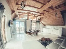 ALPS Apartments