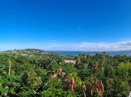 Zowanj 1 - Logement avec vue panoramique, vacation rental in Le Robert
