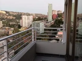 Viña Parque Urbano