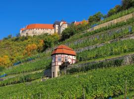 Apartmenthaus Schlag, hotel en Naumburg