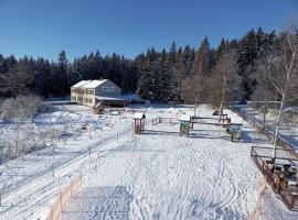 Penzion Šumavous, B&B in Vimperk