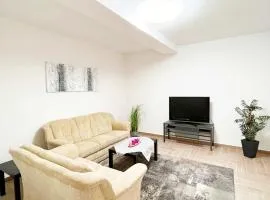 Spacious apartment near Hanau