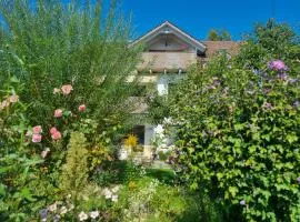 Traumhafte Gartenwohnung in Überlinger Hanglage - Zur goldenen Kiwi