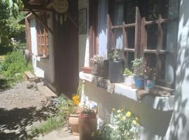 Casa SMA, sted med privat overnatting i San Martín de los Andes