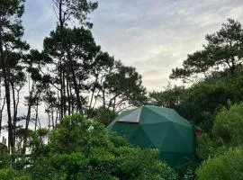 DomosdeMar a 100 mts del mar