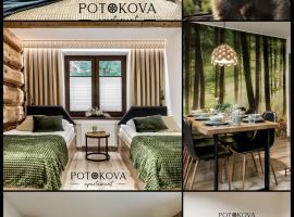Potokova apartament Centrum, golf hotel in Zakopane