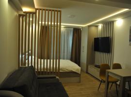 Apartman A20B, serviced apartment in Kopaonik