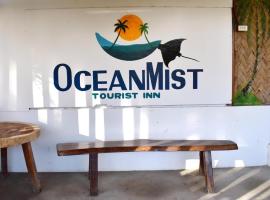 Ocean Mist Tourist Inn, homestay in San Vicente