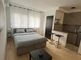 Vist 1 apartment