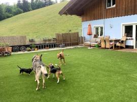 Urlaub mit Hund im Salzburger Land, apartmen di Wegscheid