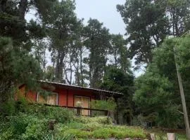la casita del bosque