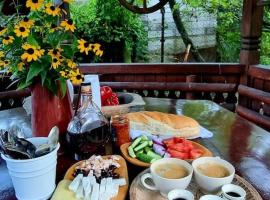 Locuința extraodinară cu șemineu ,grădina , foișor, hotel in Breaza