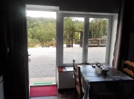 The House in the Woods