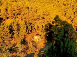 Tiny House Vogelnest, Hotel in Puntagorda